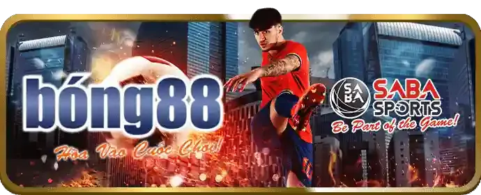 Liên hệ hỗ trợ 98bet